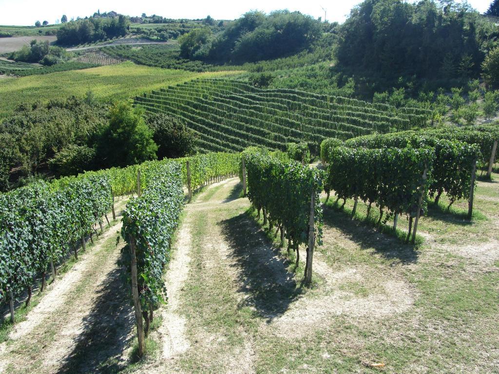 Costa Catterina B&B Castagnito Экстерьер фото